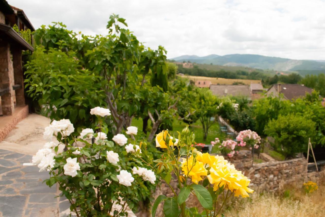 Casa Rural, Spa Y Restaurante El Huerto Del Abuelo Альмируэте Экстерьер фото