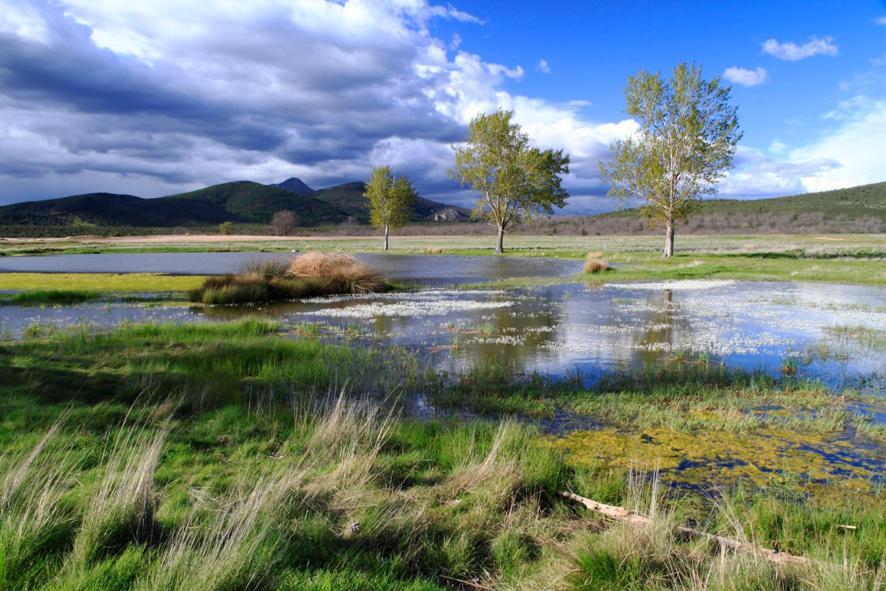 Casa Rural, Spa Y Restaurante El Huerto Del Abuelo Альмируэте Экстерьер фото